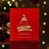 12 Color Book Matte Lipstick Set Non stick Cup Waterproof Lip Gloss Women's Makeup Long Lip Gloss Christmas Set